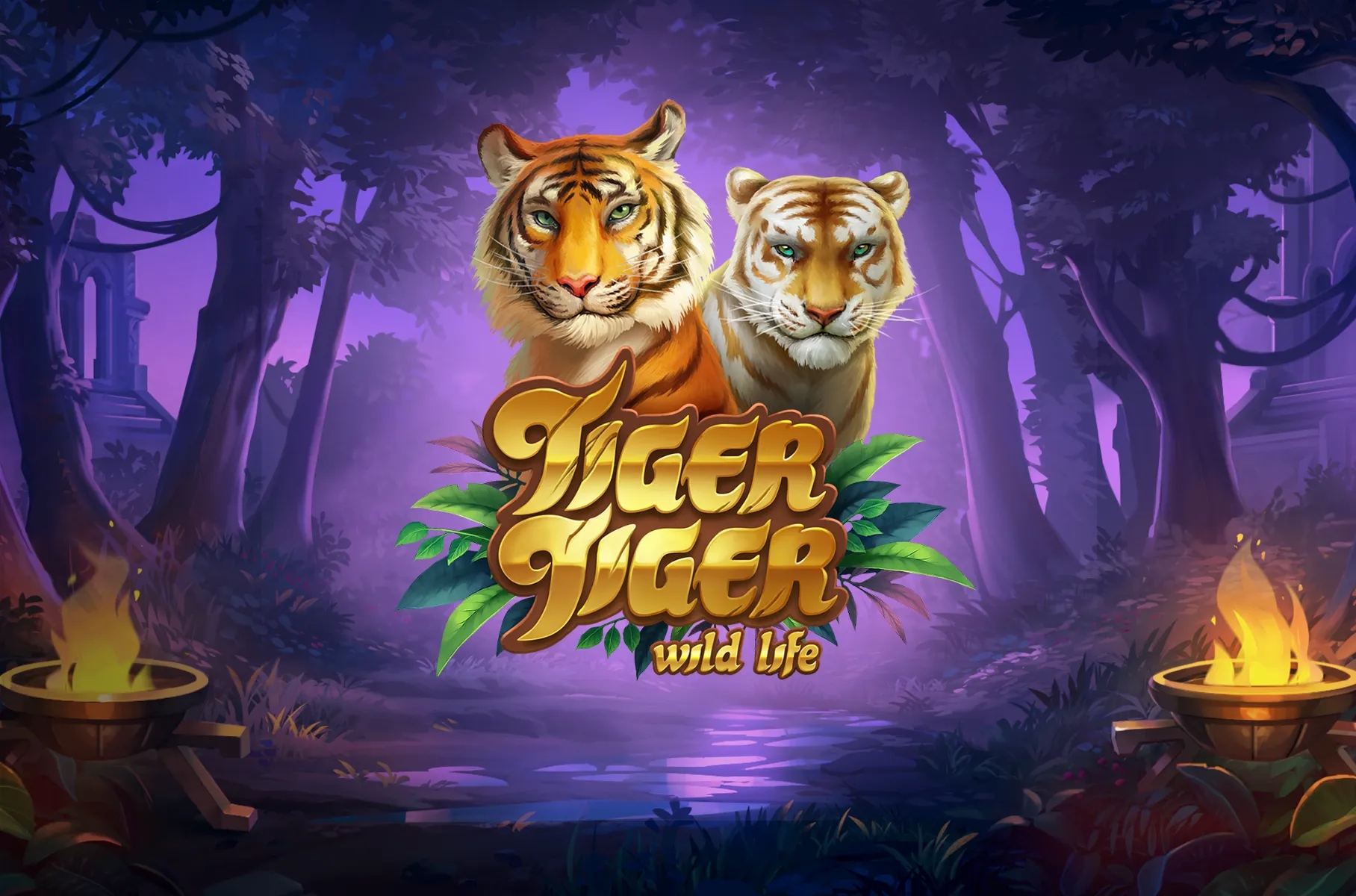 Preview for the project Tiger Tiger